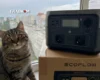 Українці готуються до зими: скільки коштують павербанки, генератори та EcoFlow