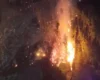 На Закарпатті вирує масштабна лісова пожежа: вогонь гасять другий день (фото)