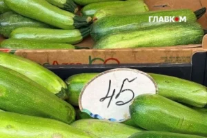 У Києві 15-20 вересня відбудуться продуктові ярмарки: адреси
