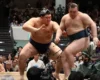 Український сумоїст Аонішікі поступився у битві за Кубок Імператора