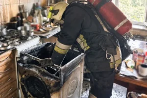 У Львові загорілася квартира через пральну машину: загинули троє котів