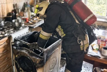 У Львові загорілася квартира через пральну машину: загинули троє котів