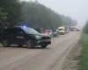 Збитий над Литвою дрон виявився російським. Науседа пояснив, куди він міг летіти