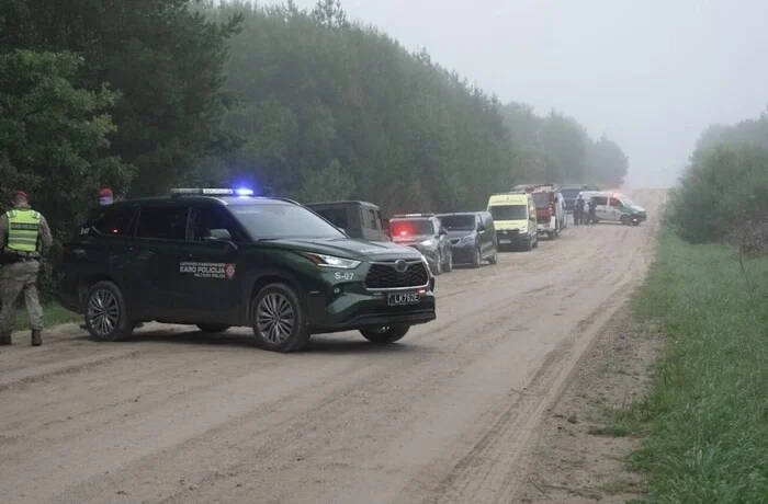 Збитий над Литвою дрон виявився російським. Науседа пояснив, куди він міг летіти