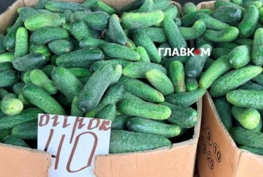 Де у Києві проходитимуть продуктові ярмарки 19-20 вересня (адреси)