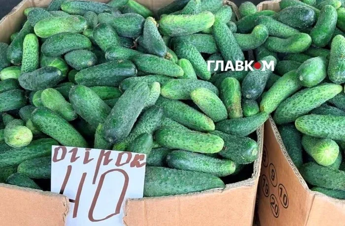 Де у Києві проходитимуть продуктові ярмарки 19-20 вересня (адреси)