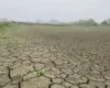 На Волині повністю висох ставок, де ще торік ловили карасів (відео)