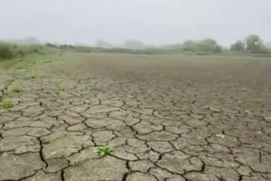 На Волині повністю висох ставок, де ще торік ловили карасів (відео)