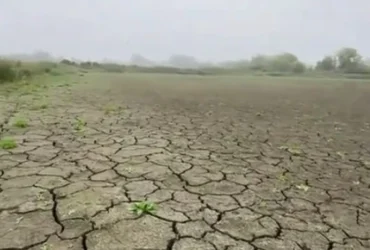 На Волині повністю висох ставок, де ще торік ловили карасів (відео)