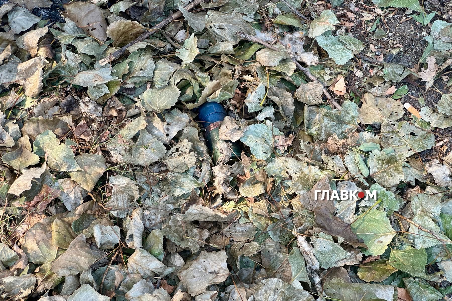 Уламок боєприпаса, що впав неподалік людських подвір’їв