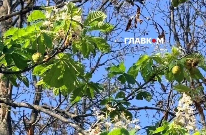 Якість повітря у Києві 21 вересня 2026 року: актуальні показники по районах