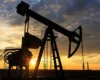 Росія пообіцяла зберегти нафтові поставки до Індії попри санкції