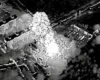 Сили оборони провели на Півдні операцію «Чорний птах»