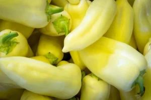 У Києві 5-6 вересня відбудуться продуктові ярмарки: адреси