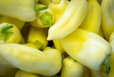 У Києві 5-6 вересня відбудуться продуктові ярмарки: адреси