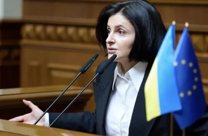 «Грошей обмаль». Нардепка розповіла, на що зараз вистачає держбюджету