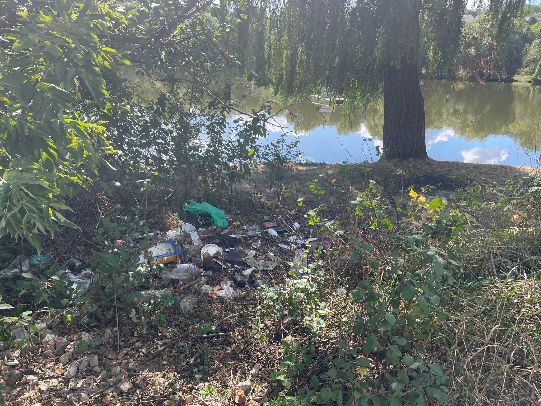Сміття накопичилося поблизу водовідвідних споруд та на прилеглій території