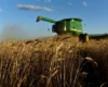 Пшениця дешевшає, а хліб дорожчає. Голова Асоціації фермерів закликав Антимонопольний комітет розібратися