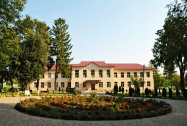Підсумки НМТ-2026 на Буковині: дві школи із Заставни принесли області гучну сенсацію