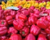 У Києві 29 вересня – 4 жовтня відбудуться продуктові ярмарки: адреси