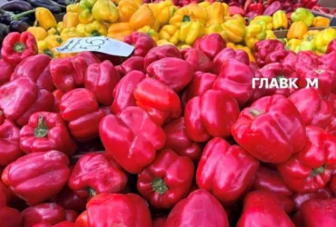 У Києві 29 вересня – 4 жовтня відбудуться продуктові ярмарки: адреси