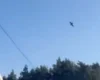 Росія знову вдарила дроном біля кордону України з Польщею (відео)