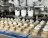 Росія знищила склад відомого виробника морозива