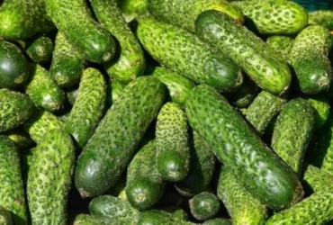 В Україні стрімко зростають ціни на тепличні огірки