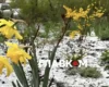 Україну накриють заморозки: синоптики назвали дату