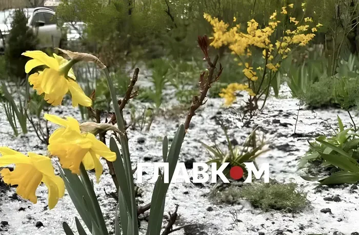 Україну накриють заморозки: синоптики назвали дату