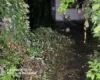 Пожежа в приватному будинку на Броварщині забрала життя чоловіка