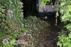 Пожежа в приватному будинку на Броварщині забрала життя чоловіка