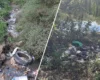 Після паломництва хасидів Умані загрожує екологічна катастрофа