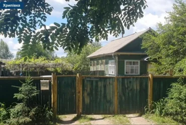 Село на Чернігівщині через наплив переселенців переживає будівельний бум