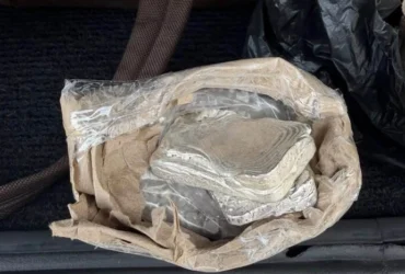 На Закарпатті прикордонники виявили в рейсовому автобусі 6кг срібла. Його ховали в несподіваному місці