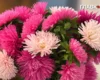 Осінні дощі накриють більшість регіонів України: погода на 15 вересня 2026