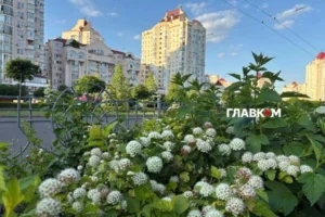 Майже +40°С та чотири рекорди: чим здивувало літо-2026 у Києві