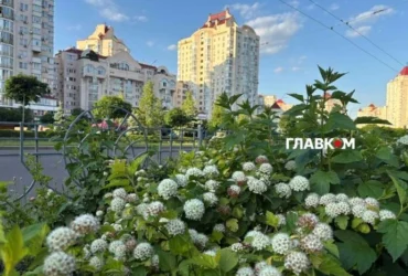 Майже +40°С та чотири рекорди: чим здивувало літо-2026 у Києві