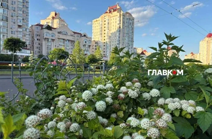 Майже +40°С та чотири рекорди: чим здивувало літо-2026 у Києві