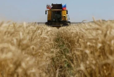 Зерновий експорт Росії обвалився до багаторічного мінімуму