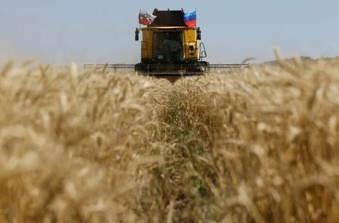 Зерновий експорт Росії обвалився до багаторічного мінімуму