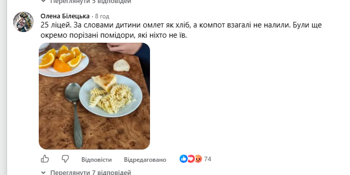 Соцмережі розкритикували шкільні обіди у Житомирі: реакція Держпродспоживслужби фото 9