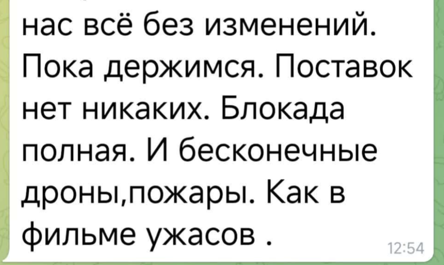 «Не треба шукати пекло – воно в Олешках». Окуповане місто ставить світ перед страшним вибором фото 1