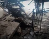 РФ прицільно вдарила по фермі: загинула жінка і тварини