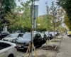 «Київзеленбуд» замінив загиблі платани на Прорізній: що посадили натомість