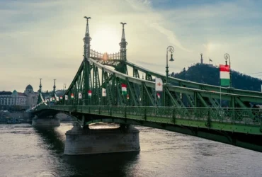 11 угорських мерів виступили із заявою про Україну