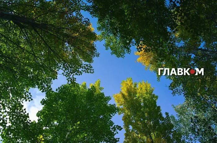 В Україні прохолодно і переважно без дощів: погода на 10 жовтня 2026 року