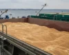 Росія знайшла заміну Чорному морю для експорту зерна, але є нюанс