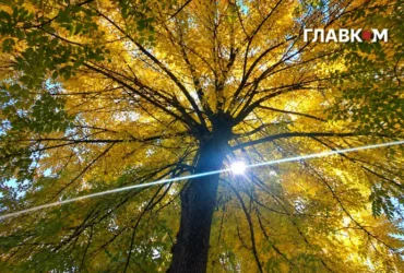 Дощі накриють Правобережжя та південь країни: погода на 20 жовтня 2026 року