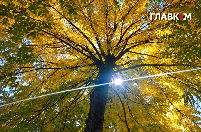 Дощі накриють Правобережжя та південь країни: погода на 20 жовтня 2026 року